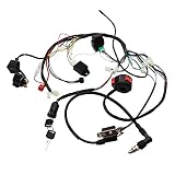 Full Electrics Kabelbaum Spule CDI 50/70/110cc ATV Quad Bike Buggy Go Kart