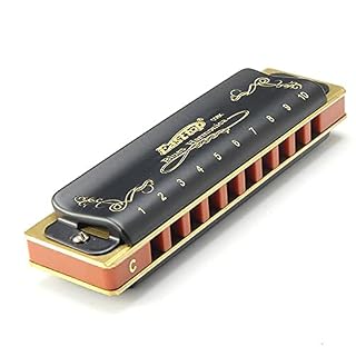 Harmonica 10 trous diatonique Blues Harmonica bouche Ogan Armonicas mélodica avec housse pour bois instrument de musique… - Les Beatles, Paul McCartney, John Lennon, RIngo Starr, George Harrison Harmonica 10 trous diatonique Blues Harmonica bouche Ogan Armonicas mélodica avec housse pour bois instrument de musique… – Image 2