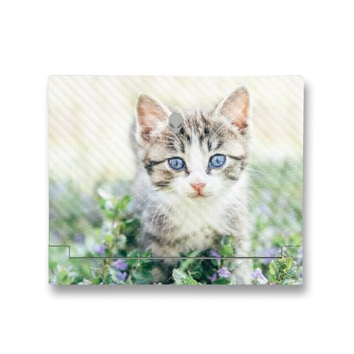Image of MightySkins Carbon Fiber Skin Compatible with Alienware X14 R2 (2023) Full Wrap Kit - Blue Eyed Kitten | Protective, Durable Textured Carbon Fiber Finish | Easy to Apply | Made in The USA