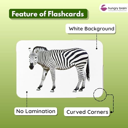 Image of Hungry Brain Wild Animals Baby Flash Cards 3 Months+ | Montessori Learning Cards for Toddlers | Early Brain Development Toy | Improve Vocabulary, Memory & Cognitive Skills | Educational Gift for Kids