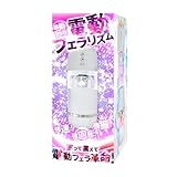 MOTLAB 電動フェラリズム