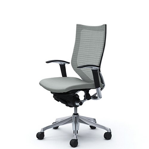 バロン (Baron) チェア 【ハイバック】 ポリッシュフレーム 可動肘 座クッション ライトグレ- CP85BR FDF3