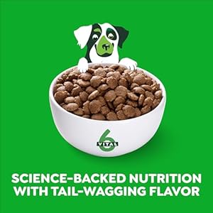 Greenies Smart Essentials Sensitive Digestion Skin Adult Dry Dog Food Real Lamb Brown Rice Recipe 15 lb Bag