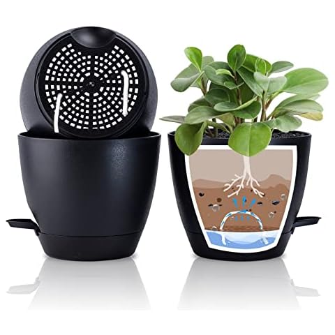 Warmplus 20cm Plant Pots Indoor, 3 Pack Self Watering Plastic Flowerpots with Drainage Holes Saucer and Reservoir, for Indoor Outdoor Plants Flowers Windowsill Gardens, Black Cover
