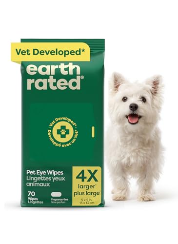 Top 3 Gadgets for Dog Owners