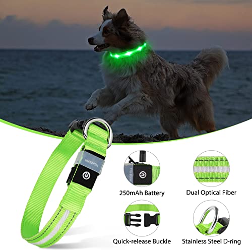 Masbrill Led Dog Collar-Rechargeable Light Up Dog Collars Water-Resistant Lighted Dog Collar Flashing Glowing Dog Collar For Dogs #TOP3