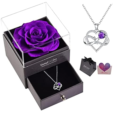 Eternal Rose with Infinity Heart Love Silver Pendant Necklace Eternal Rose with 925 Sterling Silver Necklace Rose Gift for Mom Wife on Mothers Day Valentines Day Christmas Birthday Gifts for Women Cover