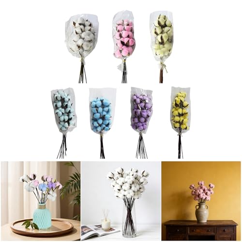 Pack de 10 tallos de flores de algodón natural secas miniatura 2