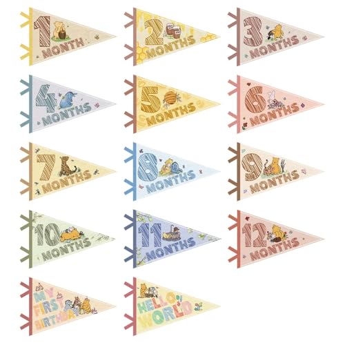 Image of 14Pcs Baby Felt Pennant Milestone Signs, Monthly Milestone Flag，The Cute Bear Baby Shower Stuff for Baby Girl Boy，Newborn Photo Prop，Pregnant Gifts