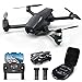 Holy Stone HS710 Faltbare Drohne mit 4K UHD Kamera 5G FPV, Bürstenlos GPS RC Quadcopter, Optical Flow System Intelligente Rückkehr Follow-Me Tap&Fly POI mit Tragekoffer für Anfänger Junge Erwachsene