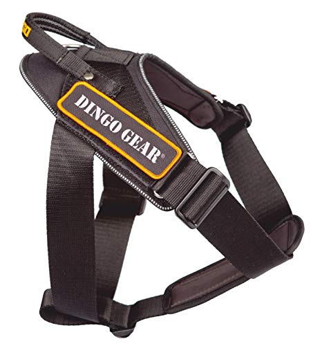 DINGO GEAR WWW.DINGOGEAR.COM 1977 Working Dogs Harness Strong Handle Extreme Durable Ligthweight Polyamide S03200, Black, 550 g