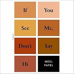 If You See Me, Don't Say Hi Audiolibro Por Neel Patel arte de portada