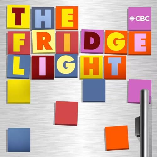 The Fridge Light cover art