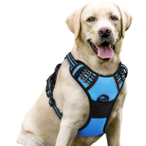 Image of rabbitgoo Dog Harness No Pull with 2 Leash Clips, Adjustable Soft Padded, Reflective Oxford No Choke Pet Vest with Easy Control Handle for Large Dogs, Blue, L
