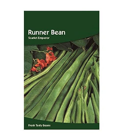 VibeX Runner Bean Scarlet Emperor Seeds-100 Seeds (B0BBGQR16J) Amazon Price History, Amazon Price Tracker