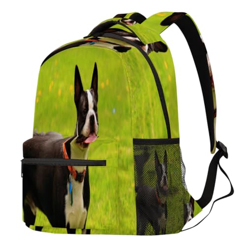 Sac à dos Boston Terrier un cadeau idéal pour enfants