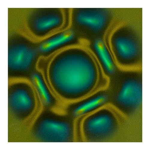 Mauedest Magnetische Beobachtungsfolie 10.2 cm x 10.2 cm