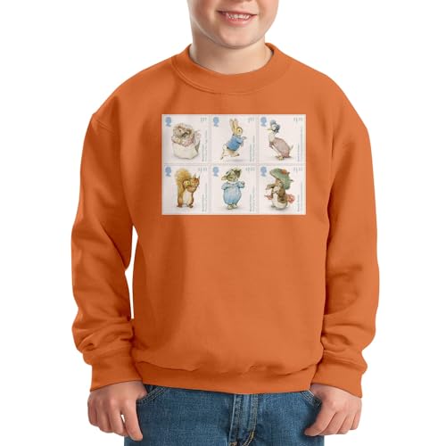 Sweat enfant illustration Beatrix Potter idéal pour l'école et le parc