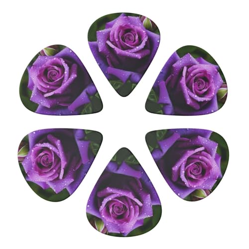 M^[sbN p[v[Yt[vg M^[sbNz_[ AR[XeBbNM^[ oCI EN x[Xp 6pbN