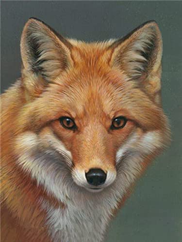 Broderie Point de Croix Renard 11CT Kit Estampé Complet avec Motif Guide