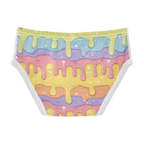 Wusikd Colorful Ice Creams Boys' Underwear Cotton Boys Briefs Soft Toddler Underwear 2T2