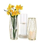 Vases Trumpet