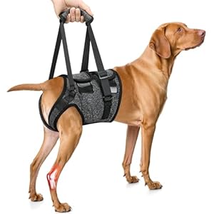 SlowTon Dog Lift Harness – Adjustable Dog Sling for Medium Large Dogs, Hind Leg Support to Help Rehabilitate, Soft Padded Dog Support Harness for Elderly, Injured, Arthritic, Disabled Dogs, XL