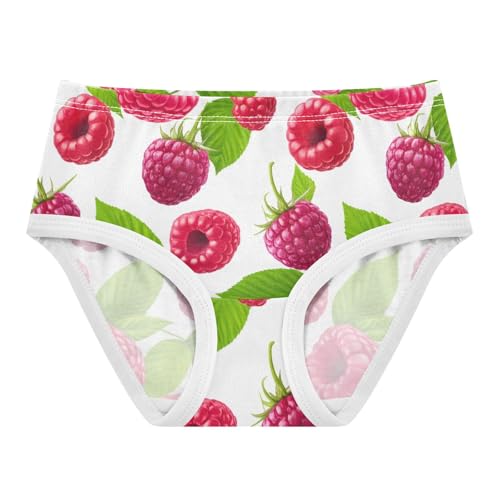 Girls Underwear Toddlers 2t Cotton Girl Panties Cute Colorful Briefs Kids Undies Red Raspberries Green Leaves White