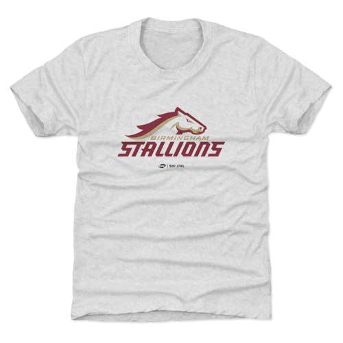 500 LEVEL Birmingham Stallions Primary Logo Youth Shirt (Tri Ash, 8Y Medium)