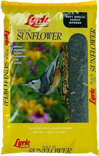 Lyric Black Oil Sunflower Seed 5 Lbs.