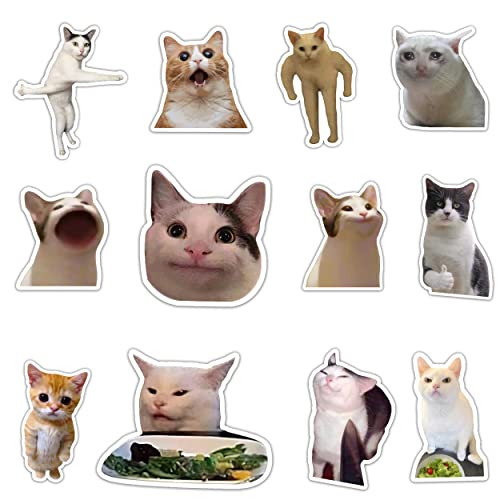Imanes decorativos Pounchi Funny Cat (12 piezas)