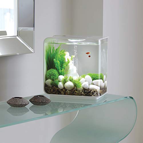 biOrb Flow 15 Aquarium with LED - 4 Gallon, White - Thumbnail 2