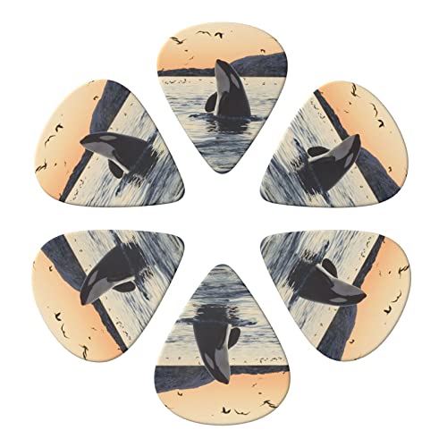 Whale Above Lot de 6 médiators imprimés avec boîte de rangement pour guitare acoustique et électrique - Les Beatles, Paul McCartney, John Lennon, RIngo Starr, George Harrison Whale Above Lot de 6 médiators imprimés avec boîte de rangement pour guitare acoustique et électrique – Image 5