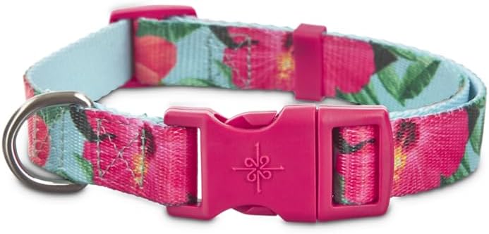 YOULY by Petco Assorted Floral Print Dog Collar, Hibiscus, Medium