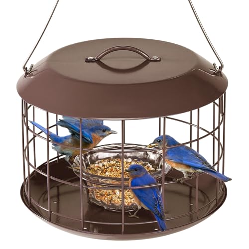 Kingsyard Bluebird Feeders for Outdoors Hanging, All Metal, Cage Bird