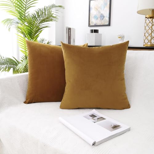 MoonRest - Pack of 2, Velvet Decorative Throw Pillow Filled with Synthetic Down Alternative, Cozy Soft with Hidden Zipper - Solid Color for Sofa Bedroom Couch 24 x 24 Brown