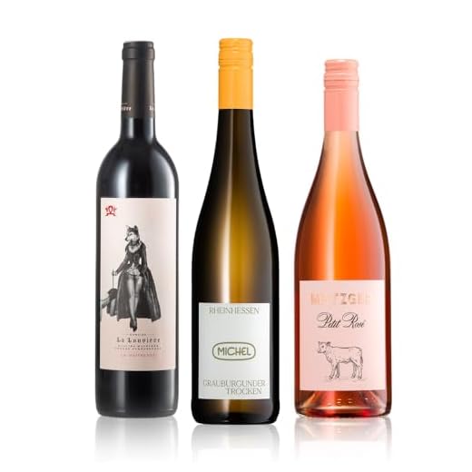 Le Vin Merlot Frankreich IGP Bag-in-box (1 x 3 l) 4 GEILE WEINE Weinpaket JEDEMSCHMECKER (3 x 0,75l) Weißwein, Rosé und Rotwein die jedem schmecken im Probierpaket