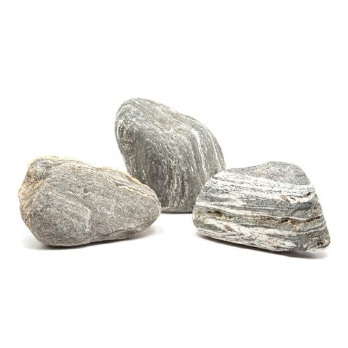 `󂨔C _͐ wkTCYiQR`QWj R ANAE CAEgf