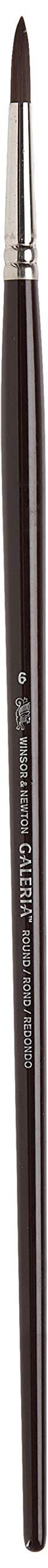 Winsor & Newton - Galeria - Round Brush - Size 6 - Acrylic