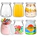 Acetiti 200ml/6.76oz Vasetti per yogurt con Coperchio, 6 Pezzi Vasetti Yogurt Vetro piccoli Barattoli di vetro con Coperchio ermetico in Plastica per Budino, tiramisù, dessert immagine