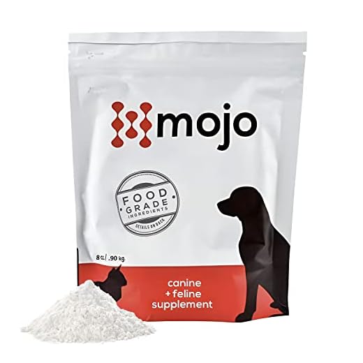 Mojo Joint Supplement for Pets' Mobility