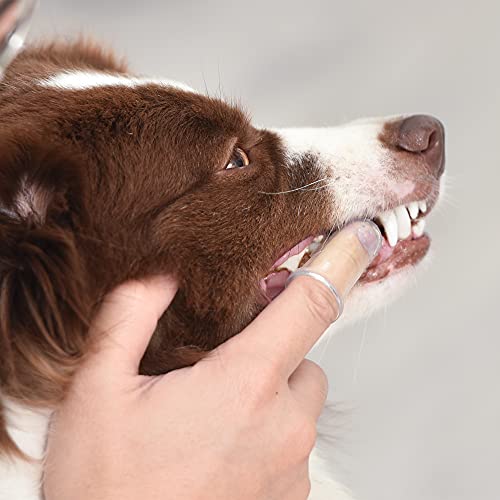 Arm & Hammer Fresh Spectrum Puppy Dental Kit #TOP4