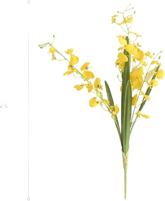 Rustic Reach Wendy's Dancing Lady Orchid Stem 20.5" Tall Five Stems