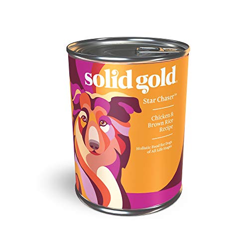 Top 10 Wet Dog Foods with the Highest Calorie Content A Comprehensive