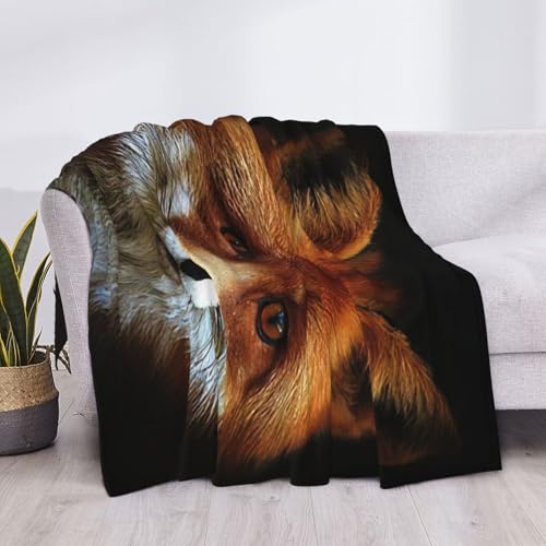 Couverture de lit légère microfibre confort thermique FOX2 - 6
