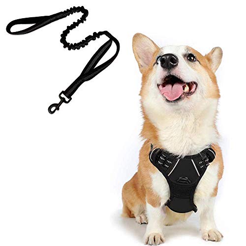 rabbitgoo Dog Harness No-Pull Pet Harness with Bungee Tactical Dog Leash, Adjustable Outdoor Pet Vest 3M Reflective Oxford Material Vest for Dogs Easy Control (Black, Medium)