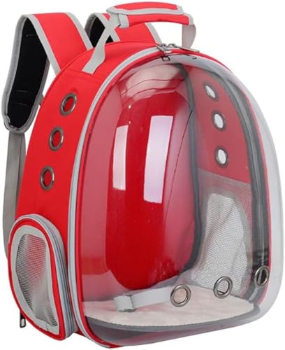 Riazdiw FDJvZ^LƌybgobOAobNpbNAUVJbgAʋCAeʁAϋvA܂肽݉\Apbh (bh)