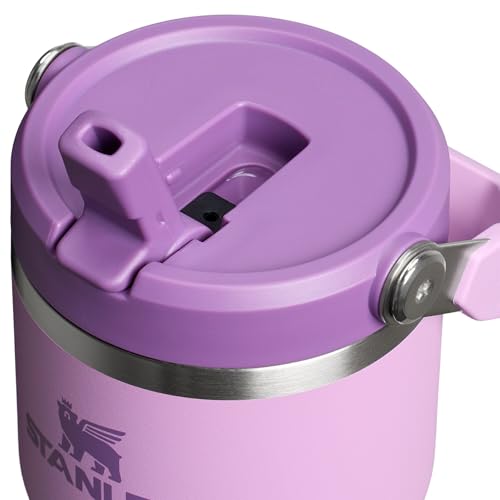 Image of STANLEY IceFlow 2.0 Flip Straw Tumbler with Handle 20 oz | Twist On Lid and Flip Up Straw | Leak Resistant Water Bottle | Insulated Stainless Steel | BPA-Free | Lilac