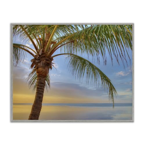 Sunrise Palm Tree Sky Reflection, 11 x 14 Inch Framed Giclée Print