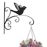 Robusto gancio for piante - Dimensioni 11,4 x 11,8 pollici Realizzato a mano in ghisa può contenere una capacità fino a 33 libbre con protezione del rivestimento resistente alla ruggine, così non dovrai preoccuparti della neve e della pioggia.